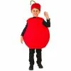 Exclusive Child Cherry Costume Kids Costumes