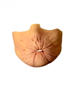 Trick Or Treat Studios Masks Preacher Arseface Costume Appliance Kit