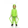 Seeing Red Child Green Grasshopper Costume Child 4-6 Year Old