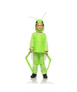 Seeing Red Child Green Grasshopper Costume Child 4-6 Year Old