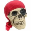 Aroma Trading Inc. Bones Pirate Skull Halloween Prop Decor 2 Aroma Trading Inc. Bones Pirate Skull Halloween Prop Decor