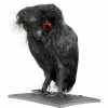 Sunstar Small Black Owl Halloween Prop Decor 1 Sunstar Small Black Owl Halloween Prop Decor