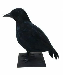 Exclusive Crow Decoration