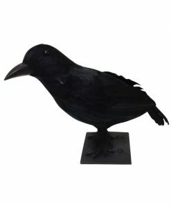 Sunstar Large Crow With Closed Wings