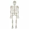 Sunstar Decor Skeleton Halloween Prop